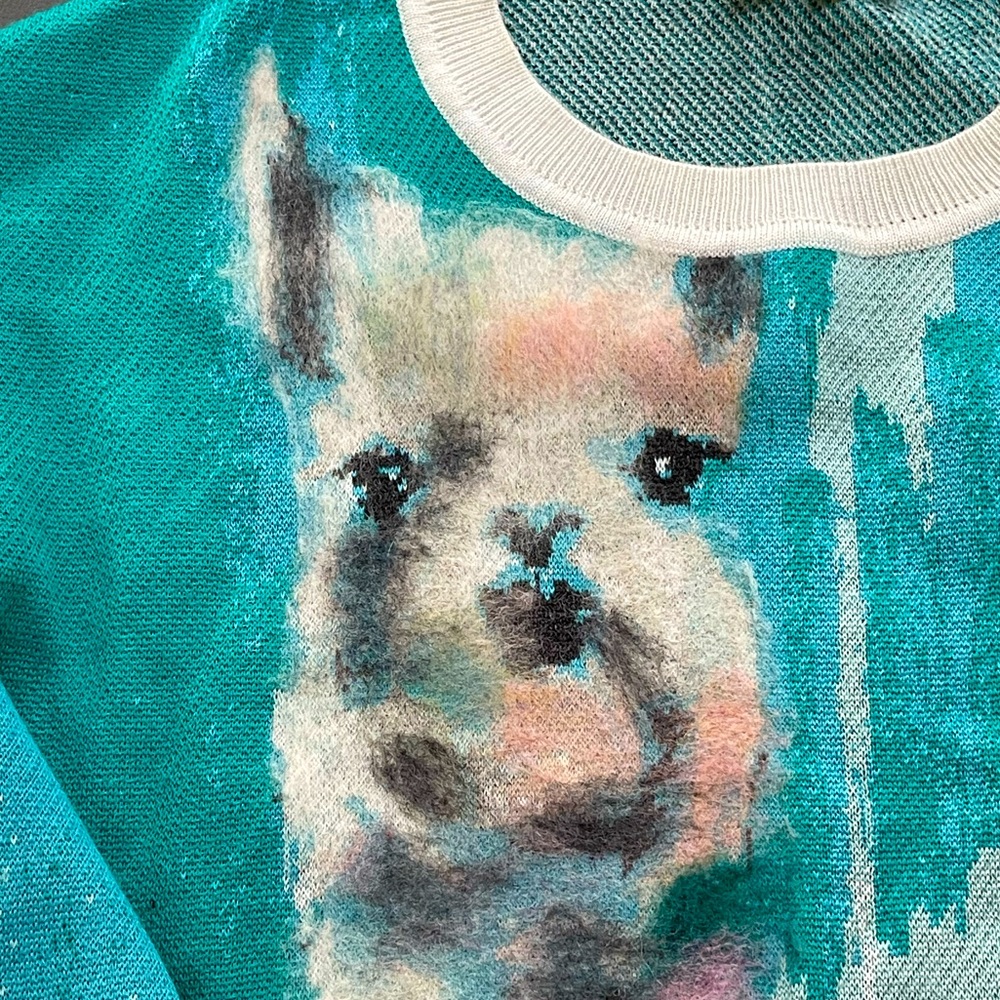 Anthropologie Llama Sweater size S